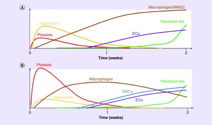 Figure 7. 