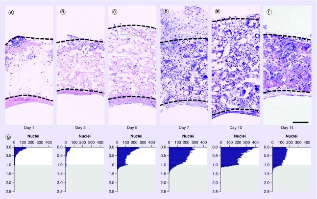 Figure 3. 