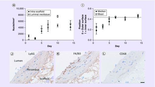 Figure 3. 