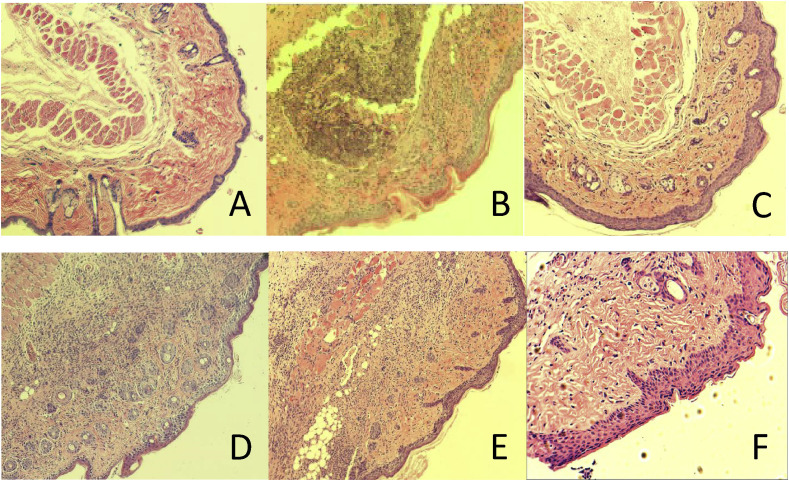 Fig. 8