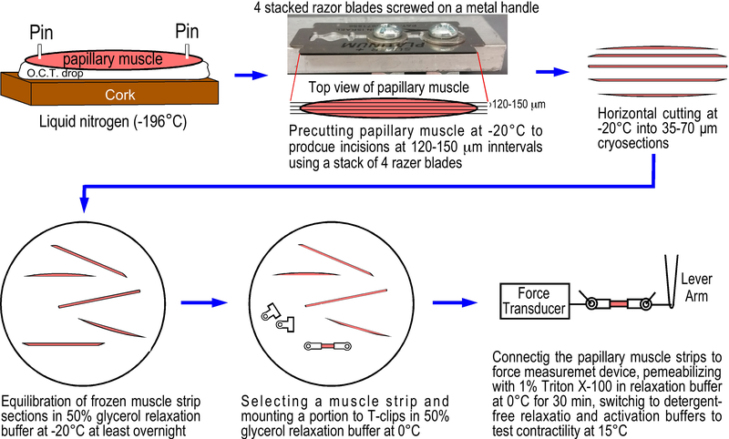 Figure.1.