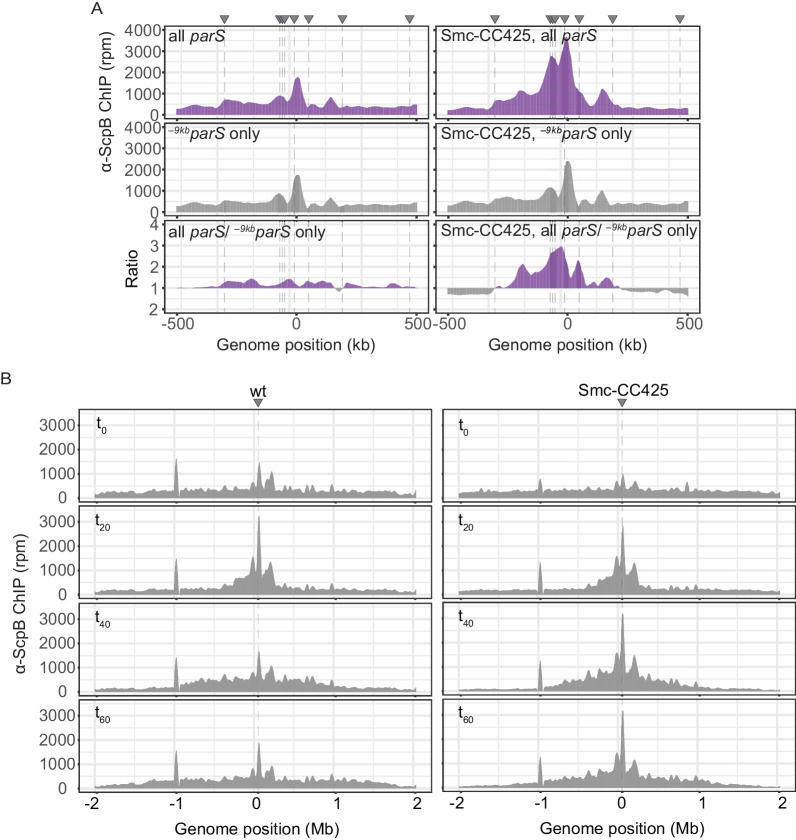 Figure 2—figure supplement 1.