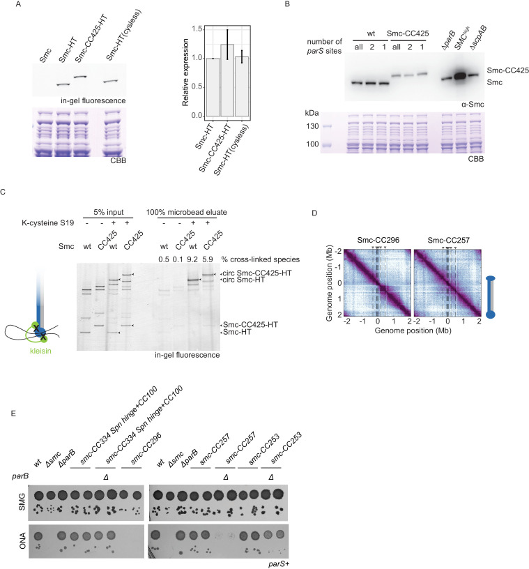 Figure 1—figure supplement 1.