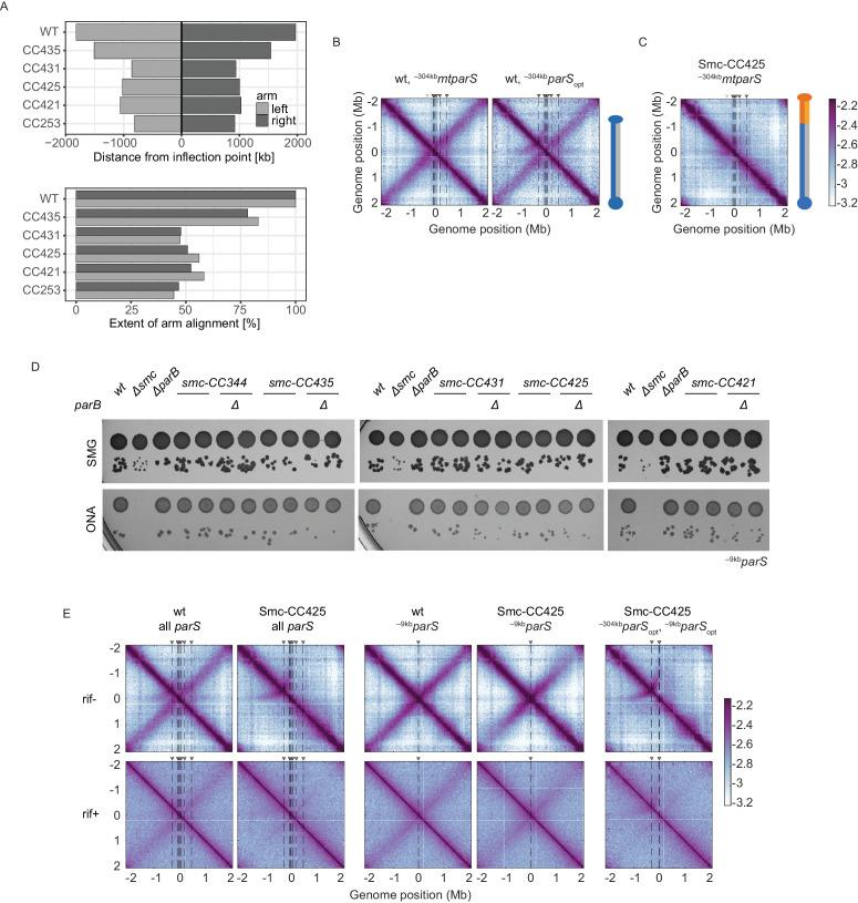 Figure 1—figure supplement 2.