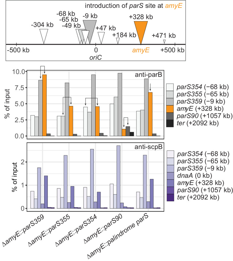 Figure 1—figure supplement 3.