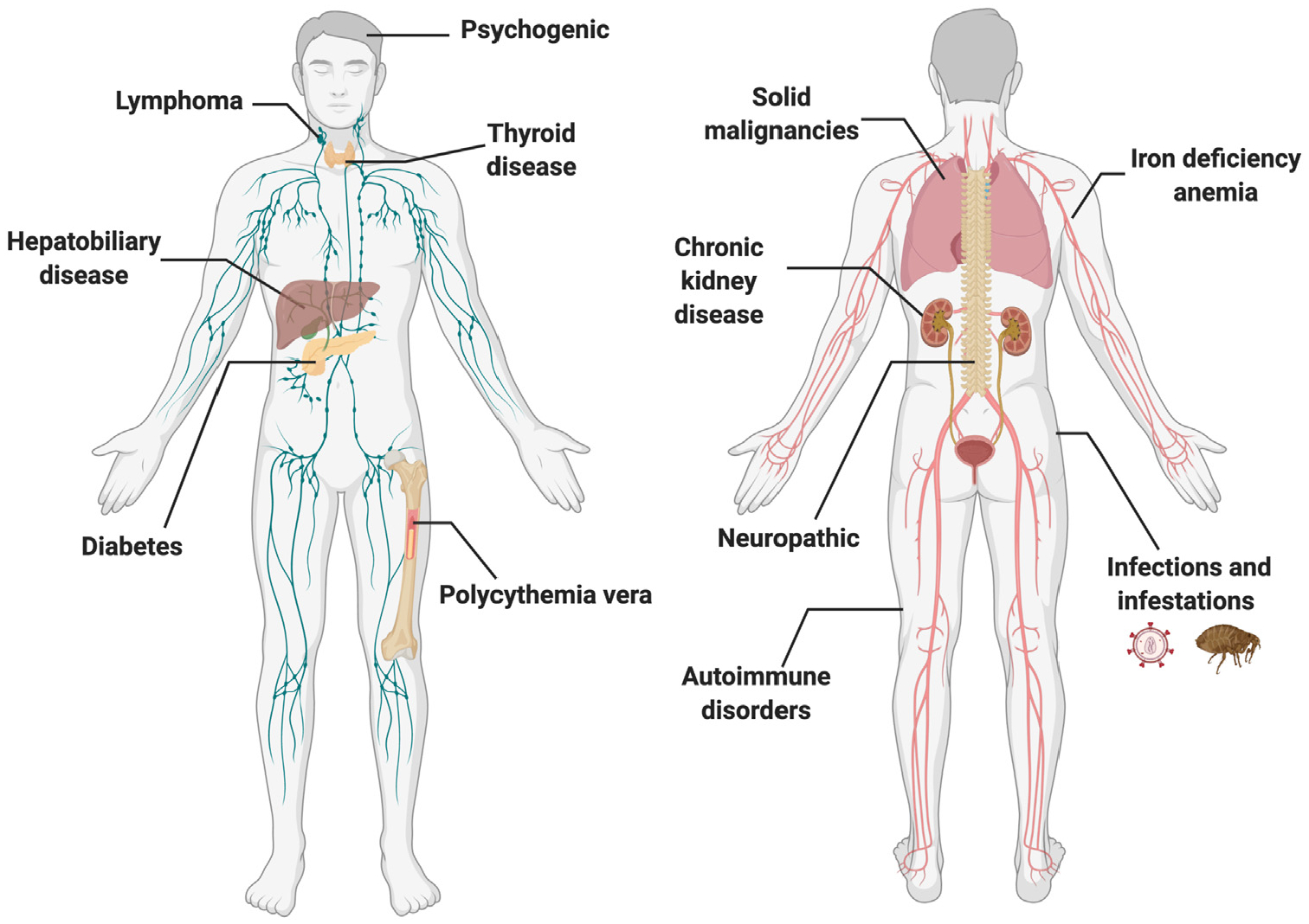 Fig 1.