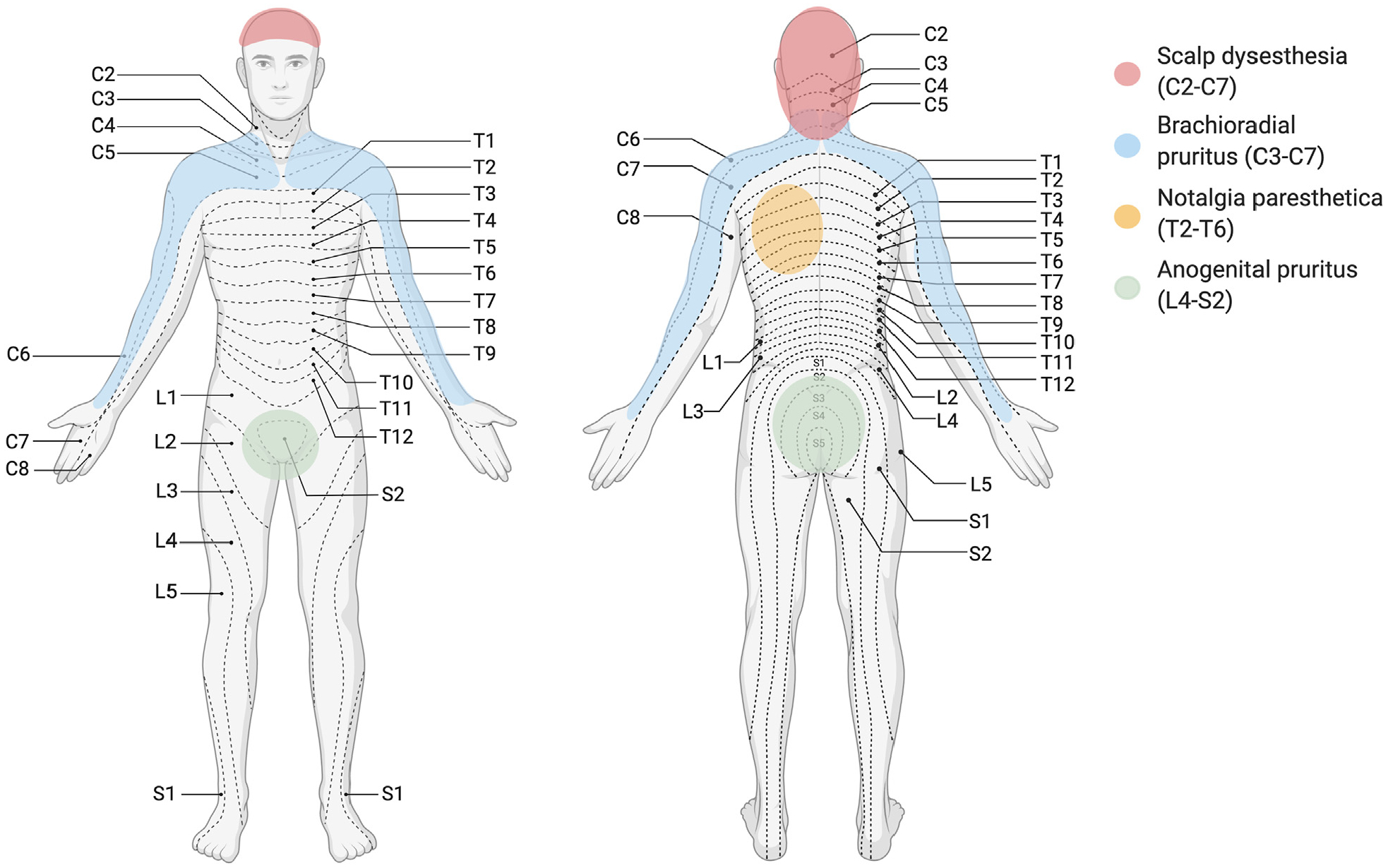 Fig 2.