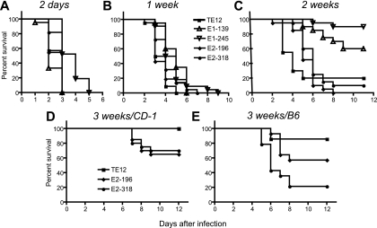 FIG. 4.