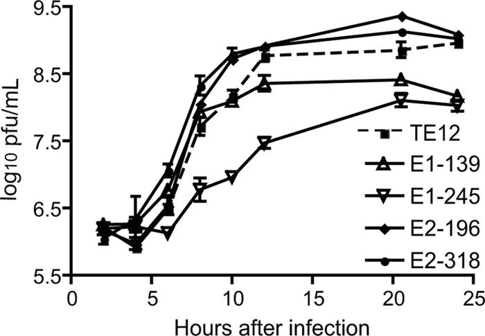 FIG. 2.