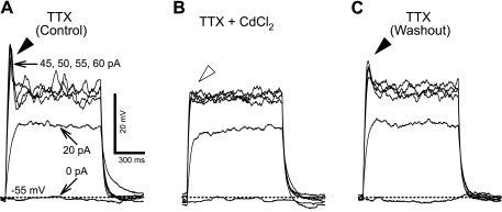 Fig. 4.