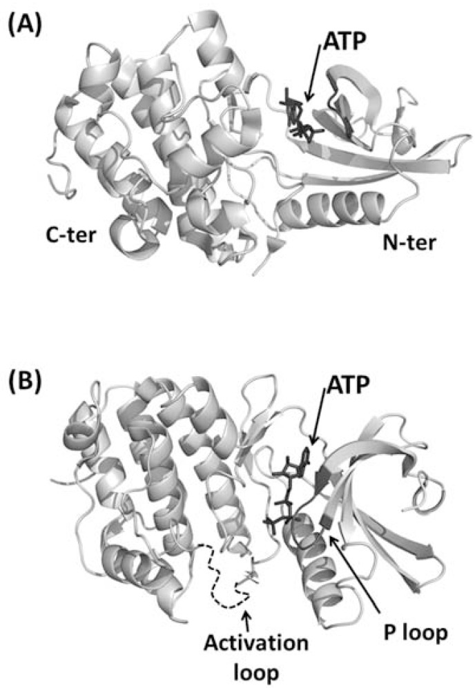 Fig. (3)