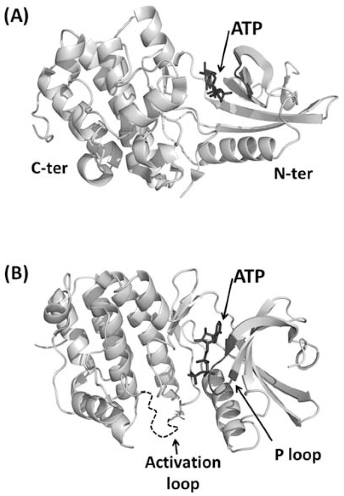 Fig. (4)