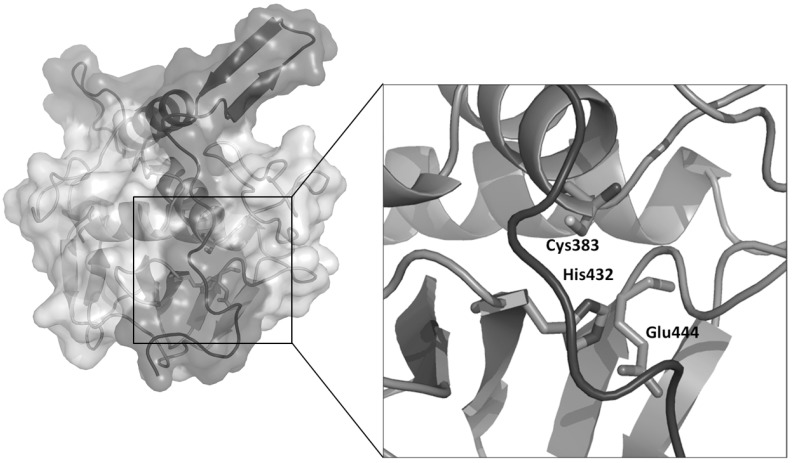 Fig. (1)