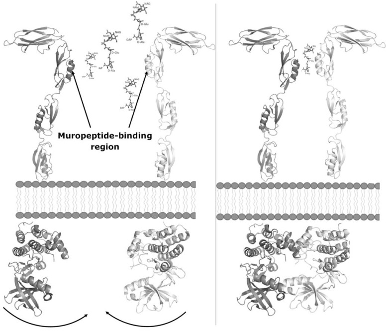 Fig. (5)