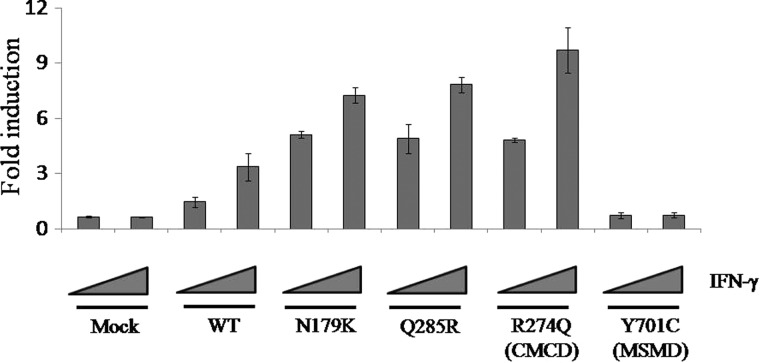 Figure 1