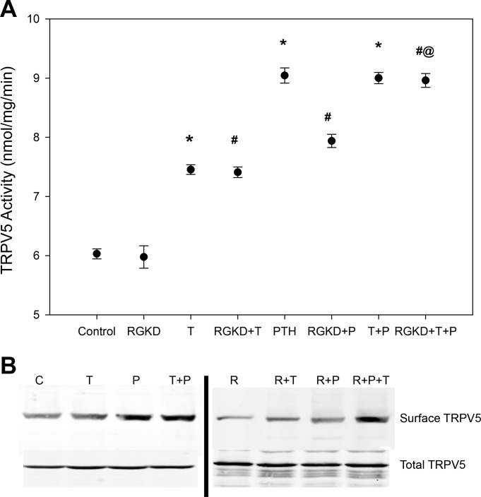 Fig. 5.