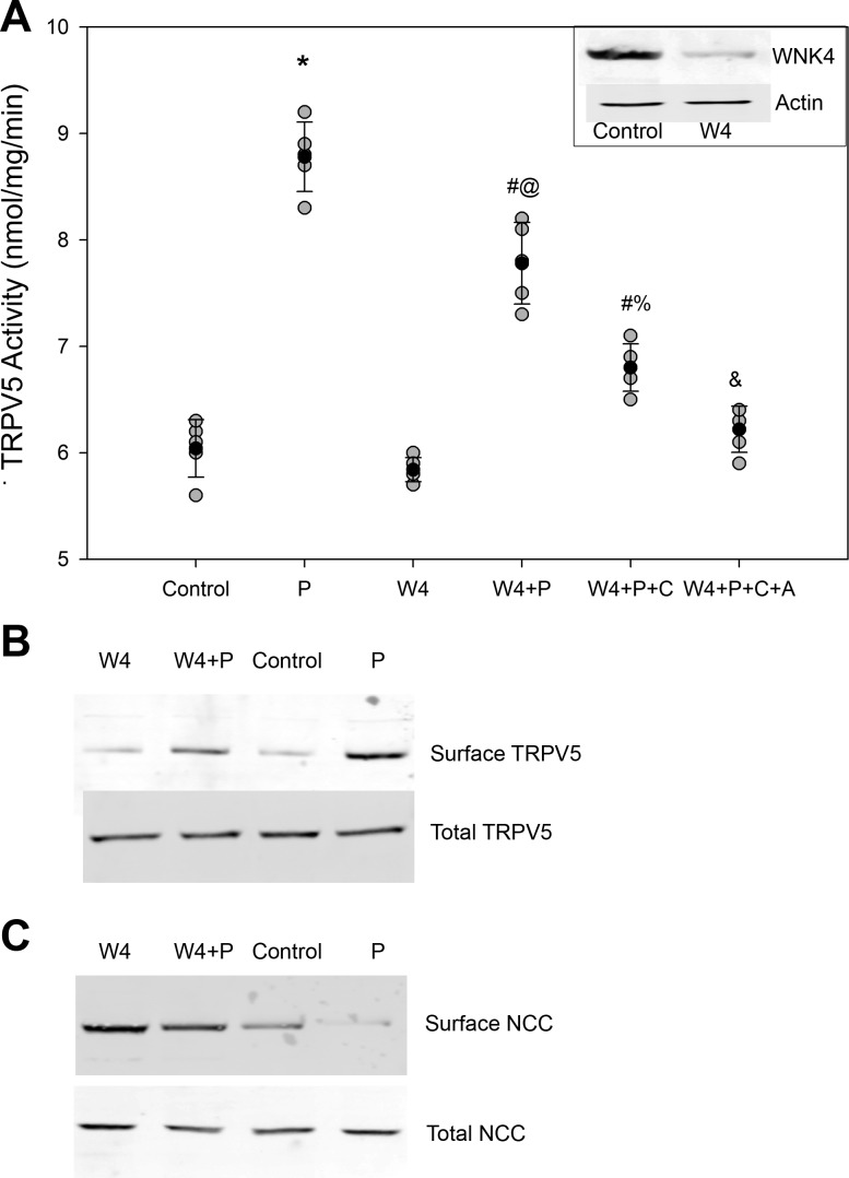 Fig. 6.