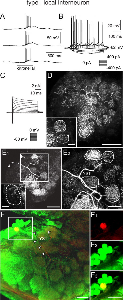 Figure 3.