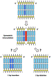Fig. 4.