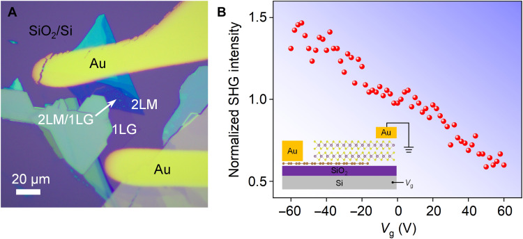 Fig. 4.