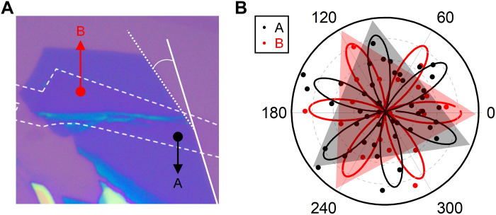 Fig. 3.