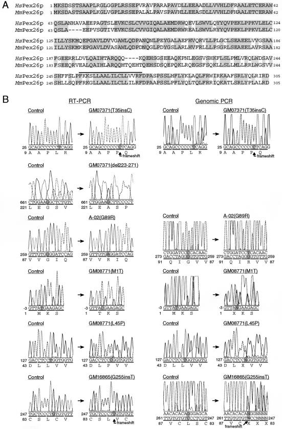 Figure  2