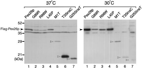 Figure  4