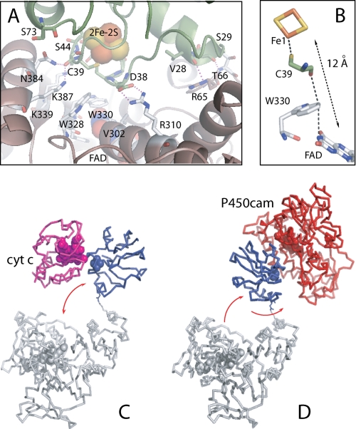 FIGURE 2.