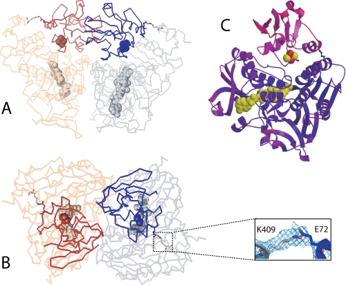 FIGURE 1.