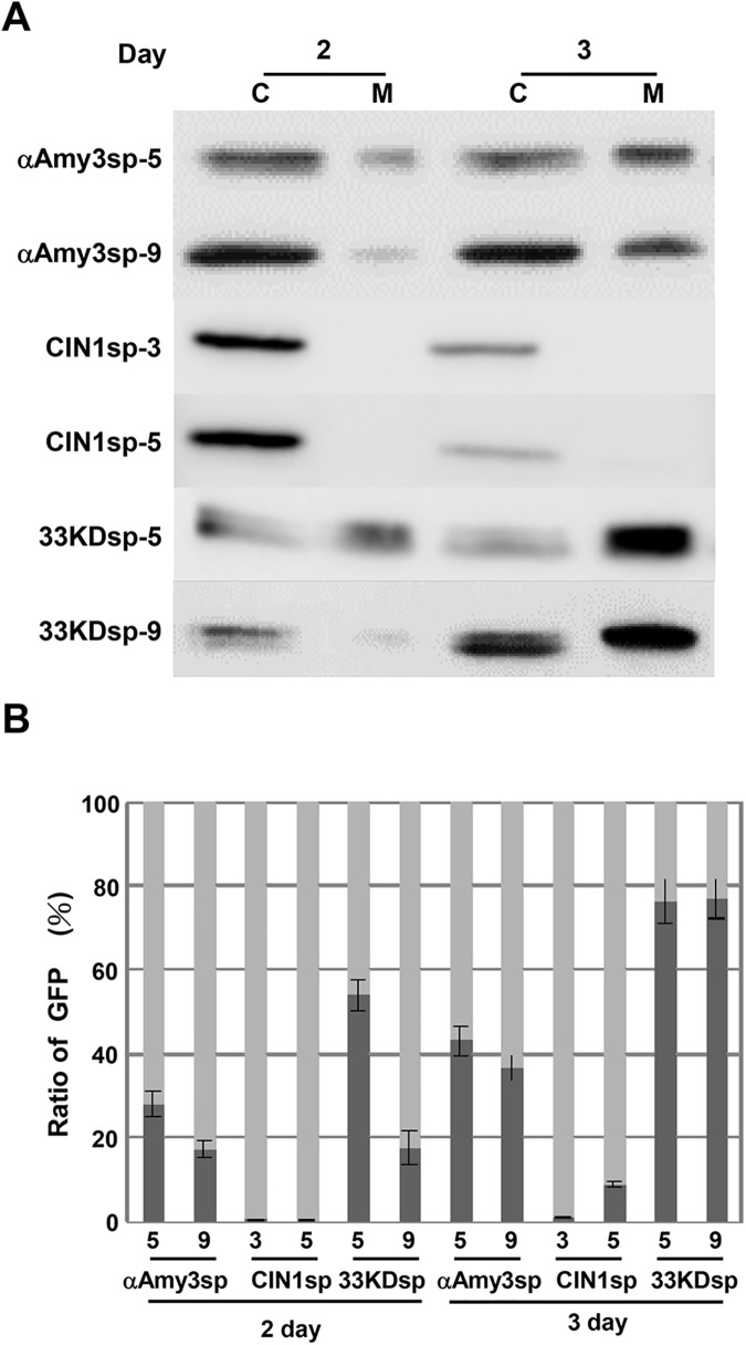 Fig 5