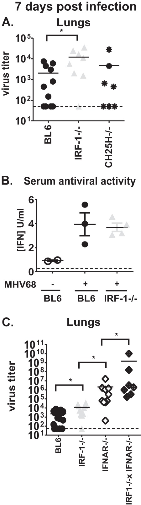 FIG 1