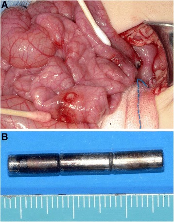 Fig. 8