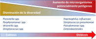 Figura 3