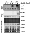 FIG 2
