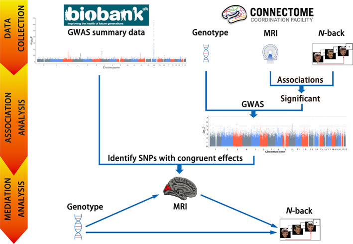 FIGURE 1