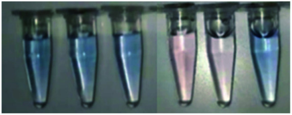 graphic file with name d1ra08090c-u3.jpg