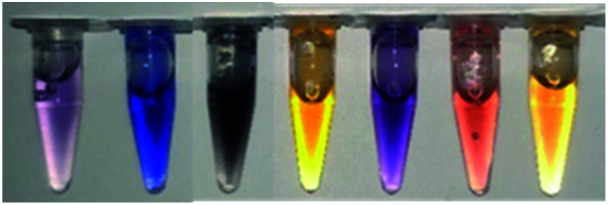 graphic file with name d1ra08090c-u16.jpg