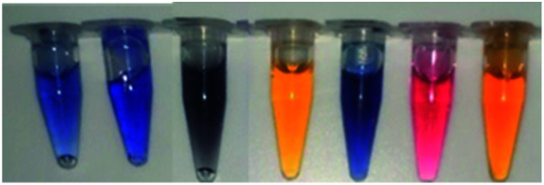 graphic file with name d1ra08090c-u13.jpg