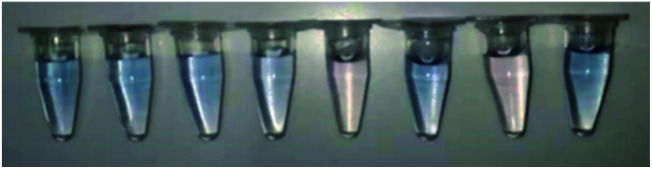 graphic file with name d1ra08090c-u1.jpg