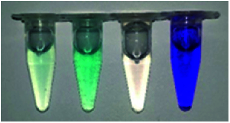 graphic file with name d1ra08090c-u18.jpg