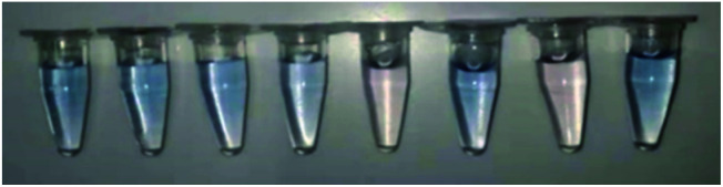 graphic file with name d1ra08090c-u2.jpg