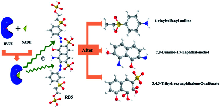 graphic file with name d1ra08090c-ga.jpg