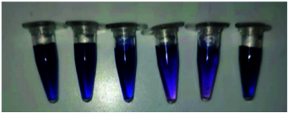 graphic file with name d1ra08090c-u11.jpg