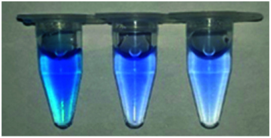 graphic file with name d1ra08090c-u14.jpg