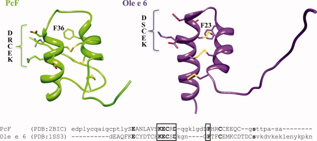 Figure 8