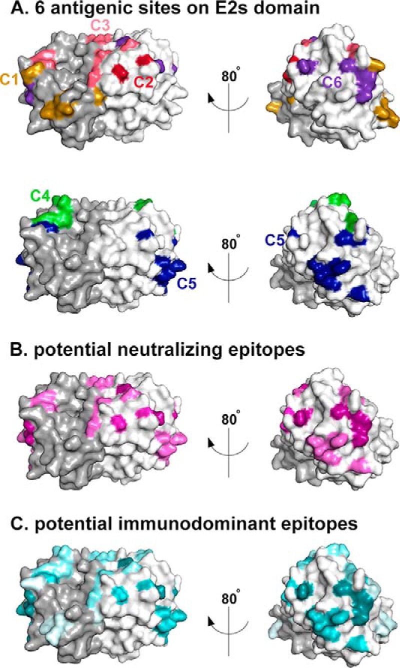 FIGURE 7.