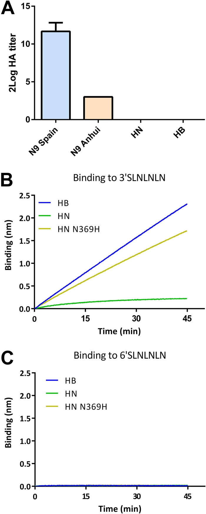 FIG 6