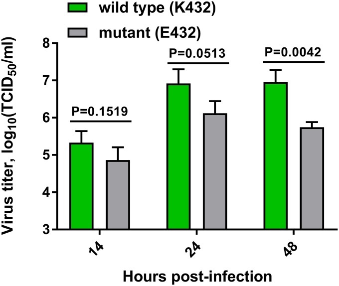 FIG 12