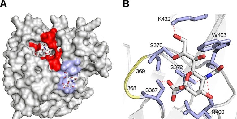 FIG 4