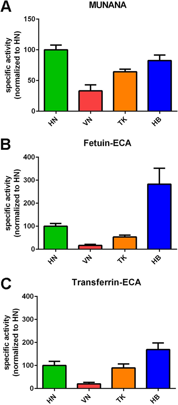 FIG 1